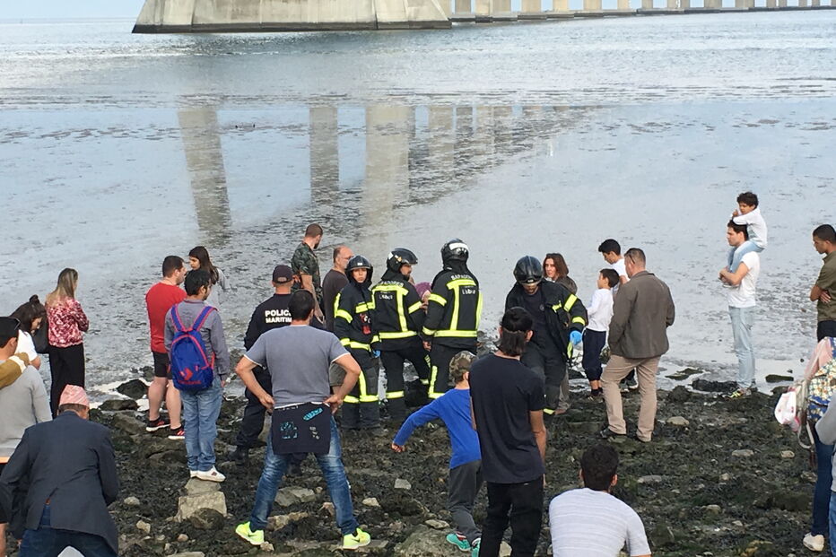 Golfinho ferido encontrado na margem do rio Tejo junto ao Parque das Nações em Lisboa