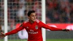 Benfica aposta em Cervi ou Caio Lucas no lugar de Rafa 