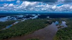 Polícia Federal do Brasil demite superintendente na Amazónia que denunciou ligação do ministro do Ambiente a madeireiros ilegais