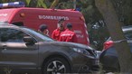 Mulher morta a tiro por colega de trabalho no Tagus Park em Oeiras