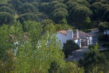 Ouro lava burla de ex-deputado do PS no caso dos colégios GPS