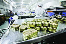 Conserveira do Sul apoiou ação do CM 