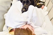 criança austista e cão são os melhores amigos