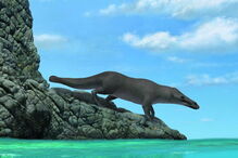 Fóssil de baleia de quatro patas com 42 milhões de anos encontrado no Peru