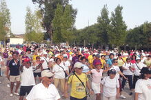 Programa Nacional de Marcha e Corrida põe 50 mil por ano a caminhar e a correr 
