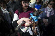 Entrega de casas no Bairro da Boavista