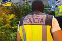 Rede de tráfico humano tatuava mulheres para indicar a quem pertenciam 