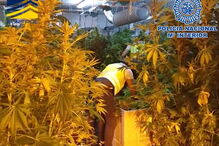 Rede de tráfico humano tatuava mulheres para indicar a quem pertenciam 