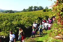 Quinta do Soalheiro, em Melgaço