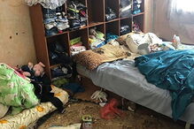 encontrados a viver em apartamento selvagem