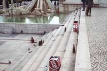 Adeptos alemães deixam garrafas e sacos espalhados no Parque Eduardo VII em Lisboa