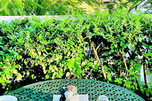 Cristina Ferreira está de férias nas ilhas Turcas e Caicos