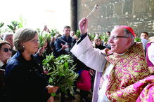 D. Manuel Clemente na Sé de Lisboa