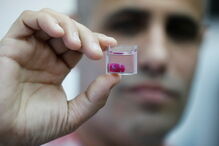 Cientistas criam coração em 3D com recurso a tecidos e células humanas