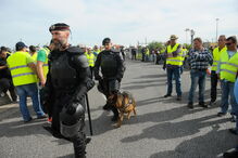 Concentração de motoristas durante greve nacional leva a intervenção da GNR