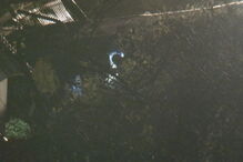 Retirada do autocarro do local da tragédia