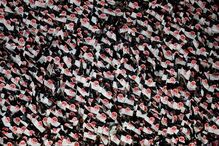 Jogo entre Eintracht Frankfurt e Benfica