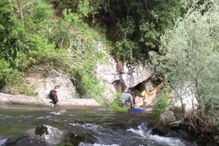 Cão entregue à dona após ser resgatado de penhasco pelos Bombeiros
