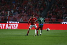Benfica - Marítimo