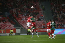 Benfica - Marítimo