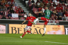 Benfica - Marítimo