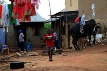 Mariam Nabatanzi: A mulher de 39 anos que tinha 44 filhos quando foi abandonada pelo marido 