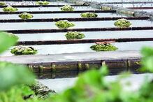 Ecomuseu da Troncalhada em Aveiro