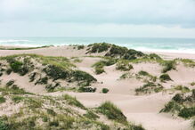 Dunas de São Jacinto em Aveiro