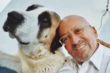 Manuel Luís Goucha, TVI, Você na TV