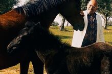 Manuel Luís Goucha, TVI, Você na TV