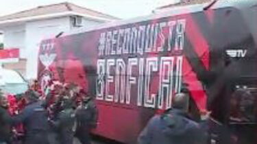 Conheça os linces-ibéricos que vivem no Zoo de Lisboa