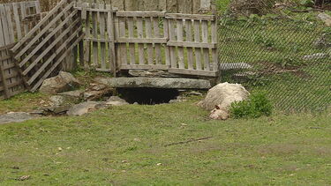 Nuno 'Mata' ficou tetraplégico após pega de touro mas ganhou uma nova vida