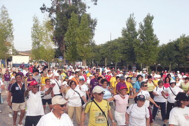 Programa Nacional de Marcha e Corrida põe 50 mil por ano a caminhar e a correr 