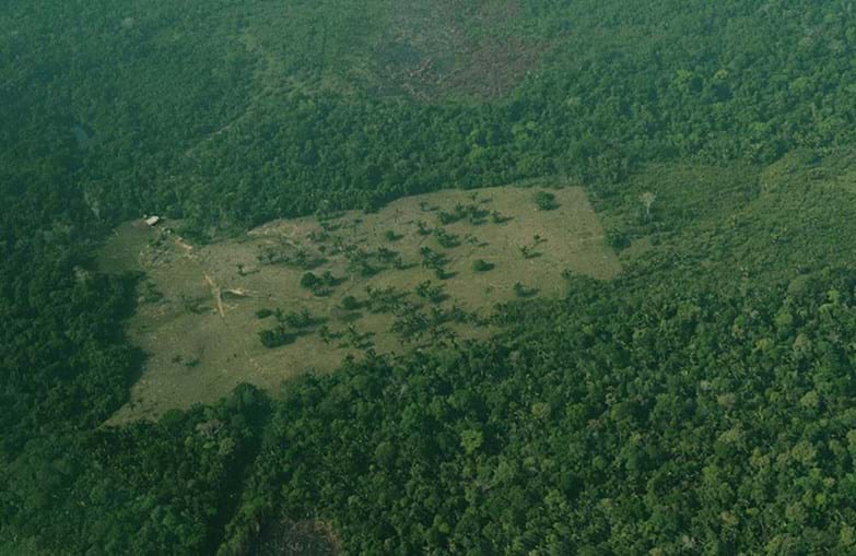 Desflorestação da Amazónia no Brasil