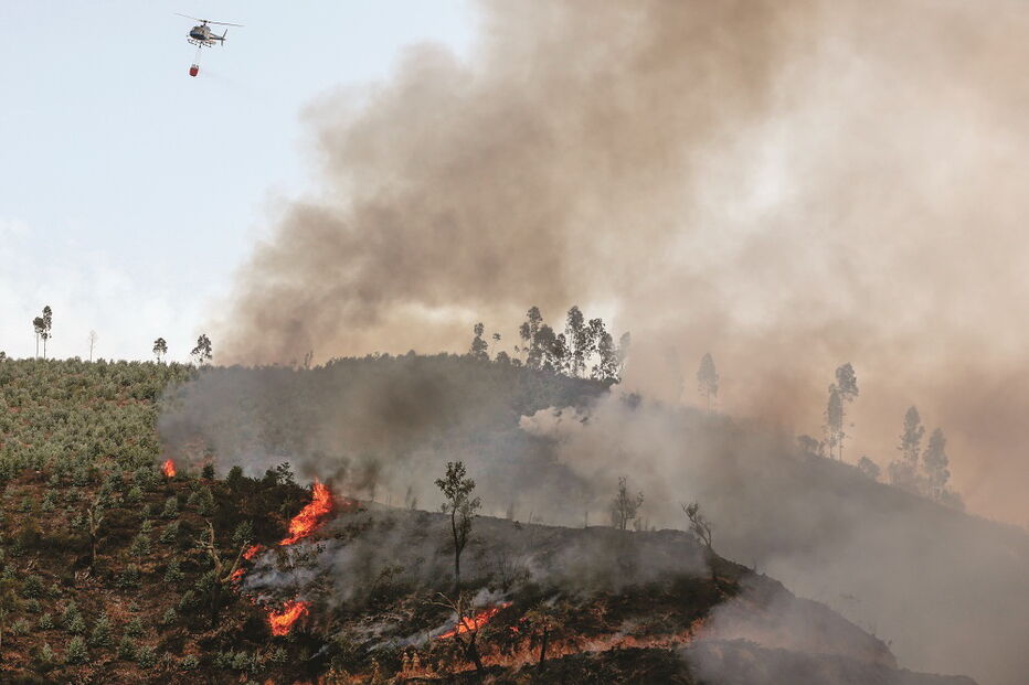 Incêndio em Monchique