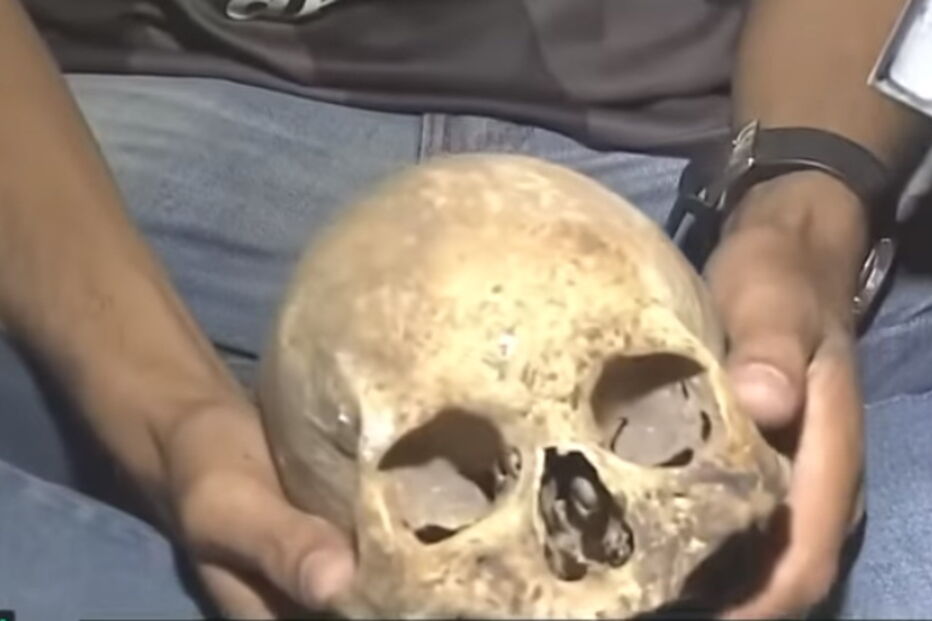 campeonato argentino 