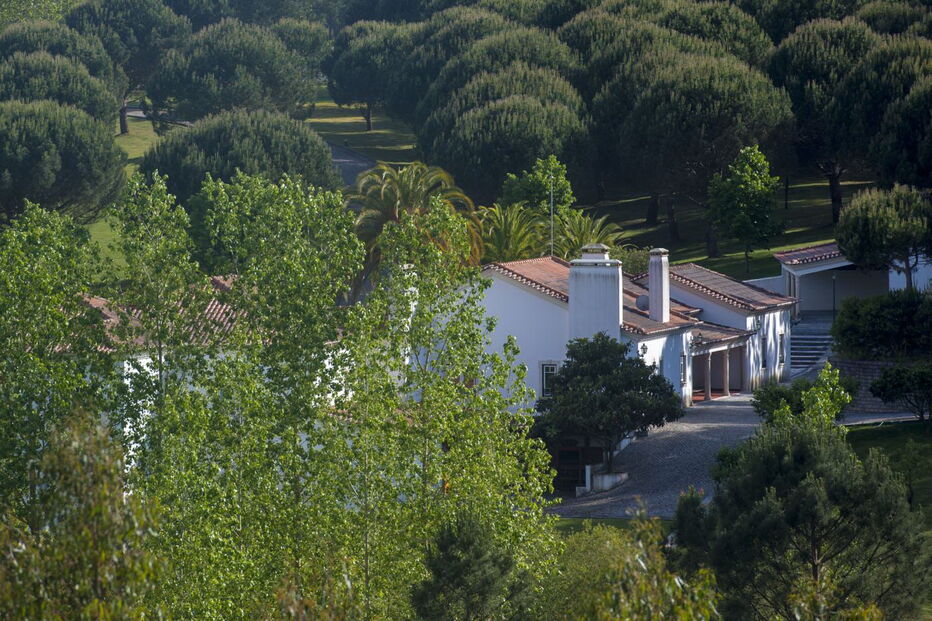 Ouro lava burla de ex-deputado do PS no caso dos colégios GPS