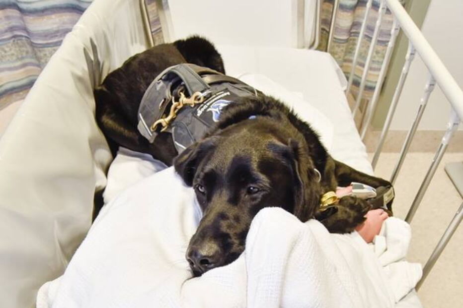 criança austista e cão são os melhores amigos