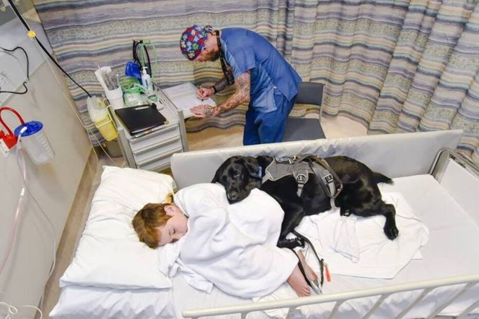 criança austista e cão são os melhores amigos