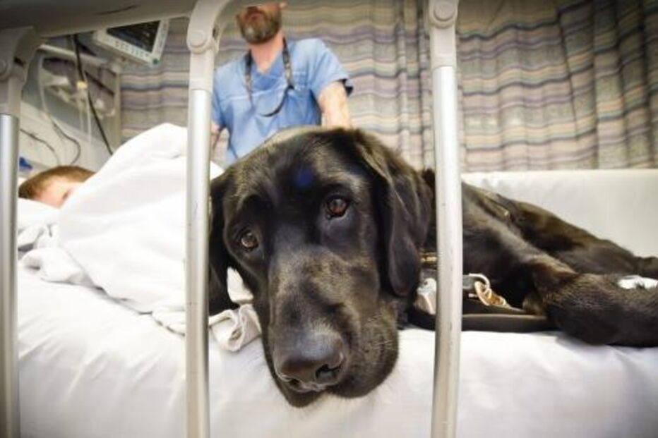 criança austista e cão são os melhores amigos