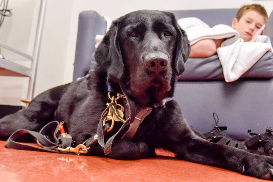 criança austista e cão são os melhores amigos