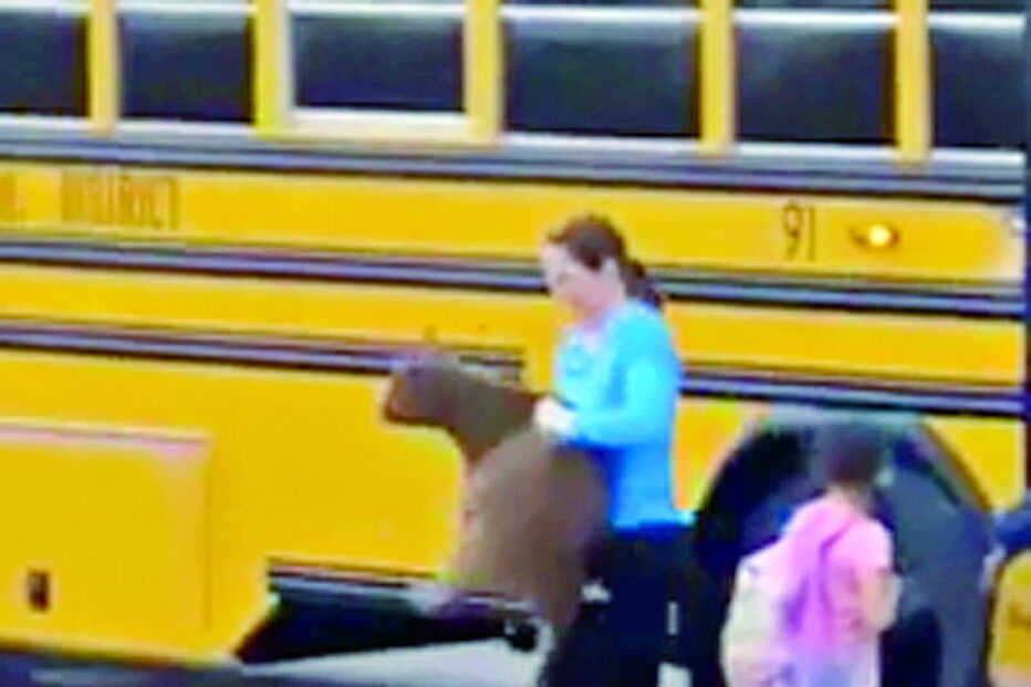 Cabra expulsa de autocarro escolar