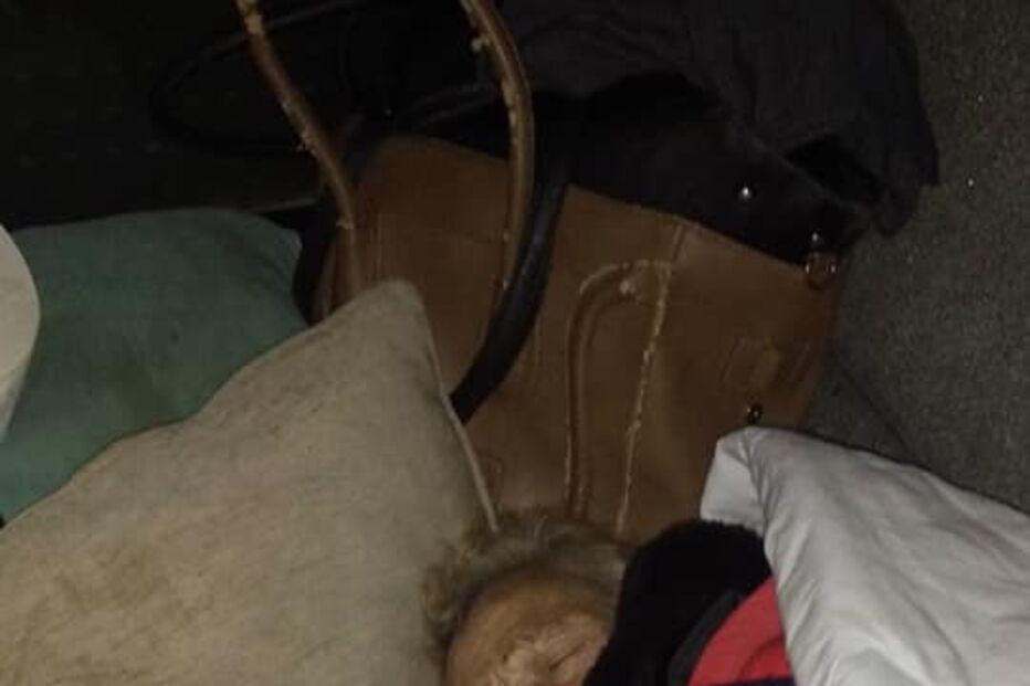 Idosa sem família recebe alta após AVC e fica a dormir na rua no Porto