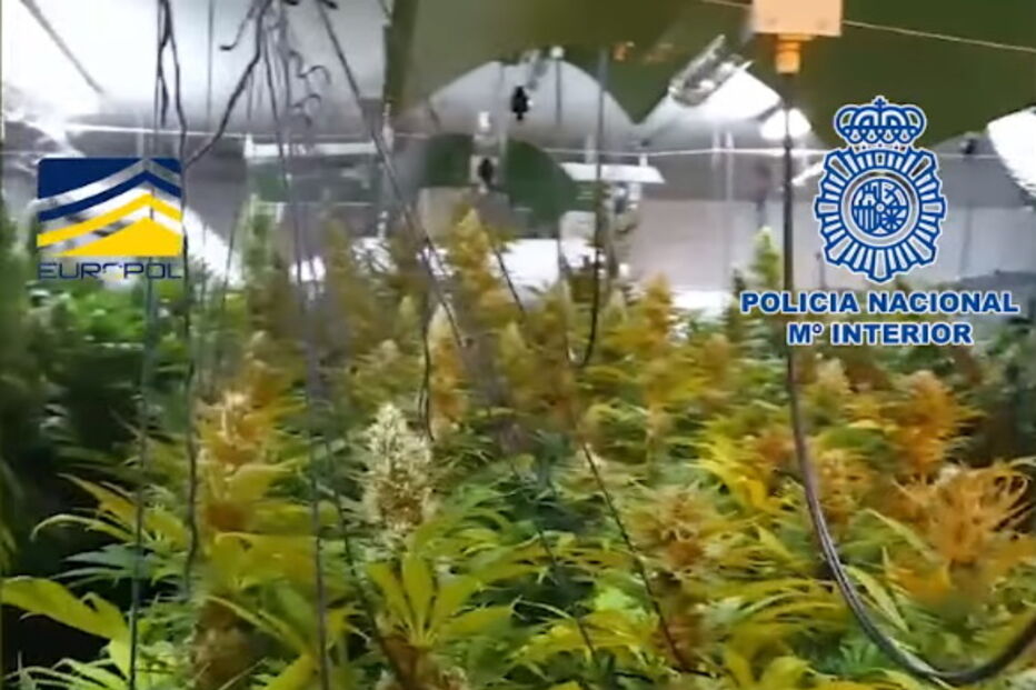 Rede de tráfico humano tatuava mulheres para indicar a quem pertenciam 