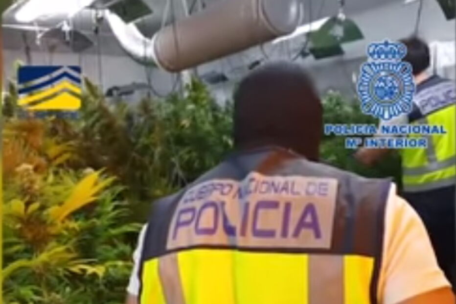 Rede de tráfico humano tatuava mulheres para indicar a quem pertenciam 