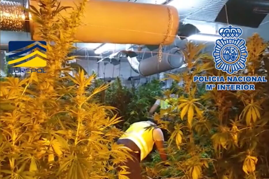 Rede de tráfico humano tatuava mulheres para indicar a quem pertenciam 