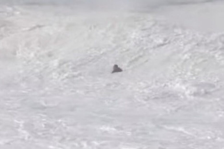 Vídeo mostra impressionante resgate de surfista português engolido por onda gigante na Nazaré