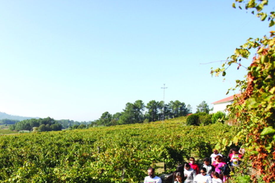 Quinta do Soalheiro, em Melgaço