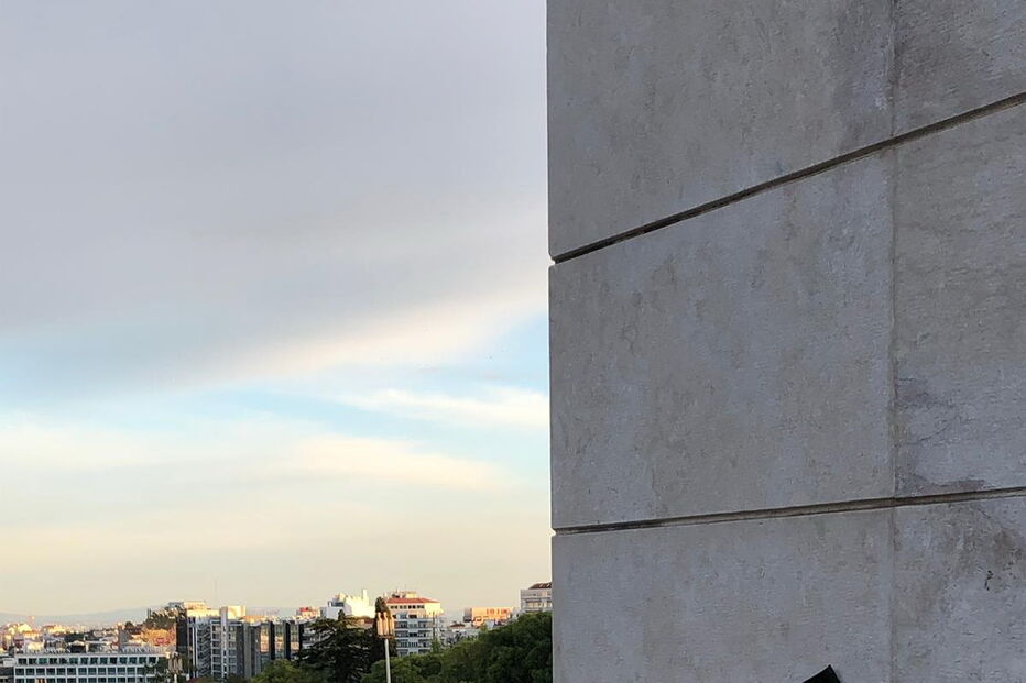 Adeptos alemães deixam garrafas e sacos espalhados no Parque Eduardo VII em Lisboa