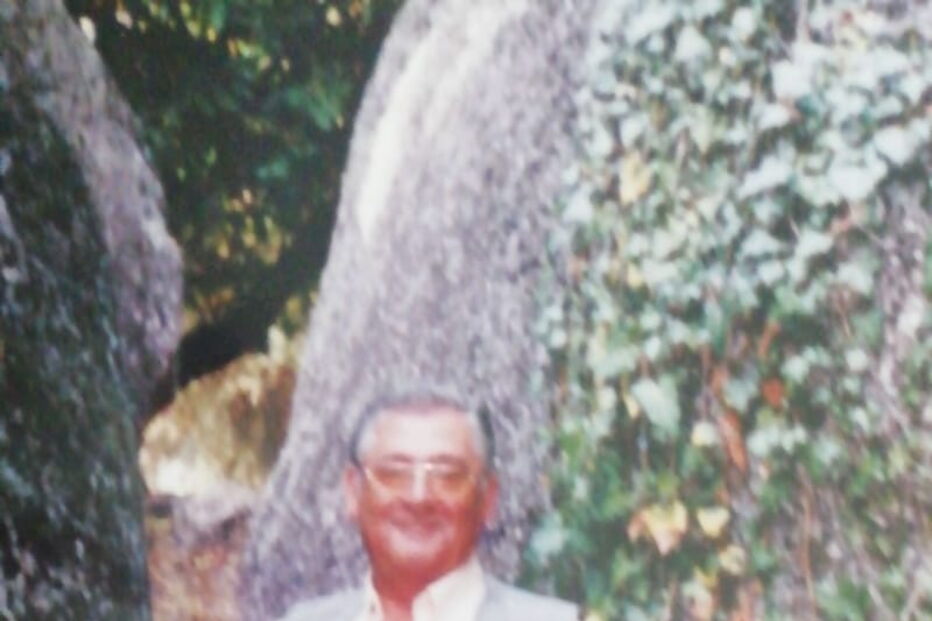 Mário Rodrigues Constantino